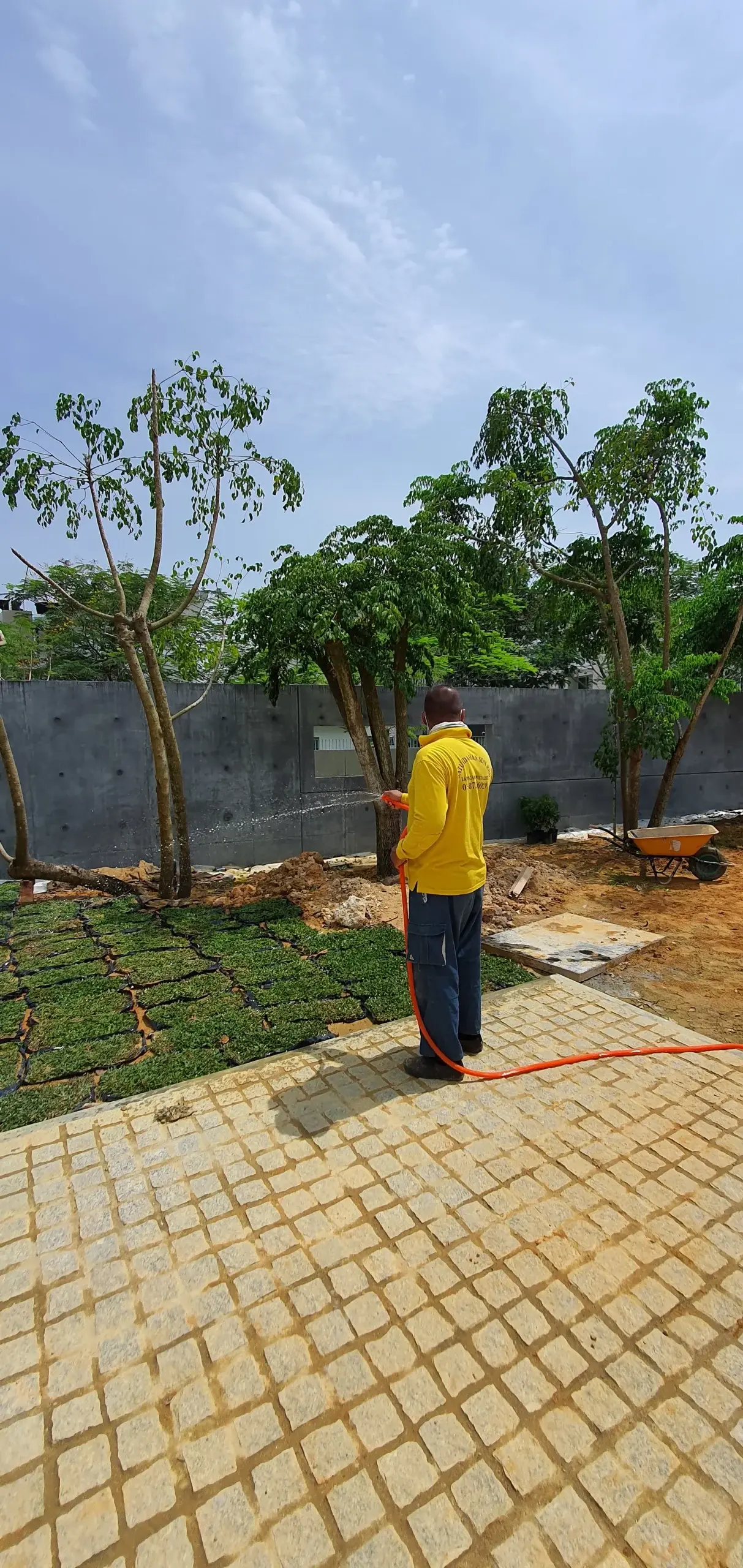 Watering and Grass Planting
