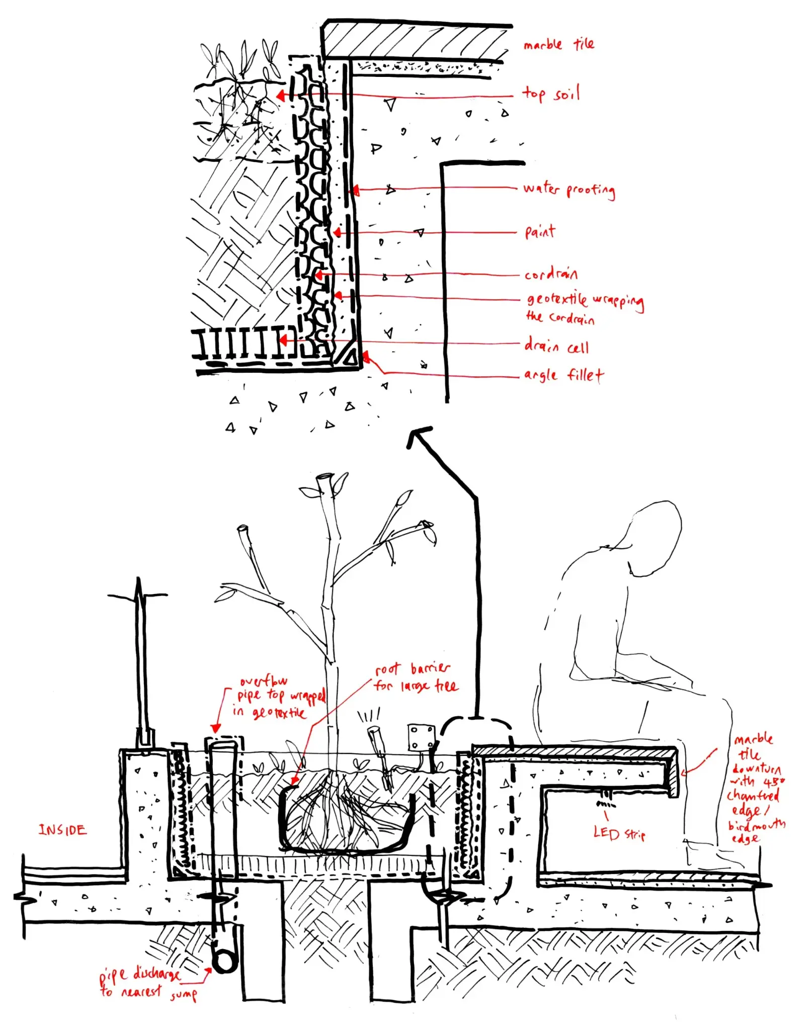 sketch1.jpg